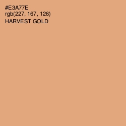 #E3A77E - Harvest Gold Color Image