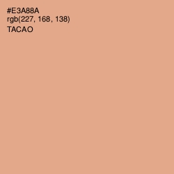 #E3A88A - Tacao Color Image