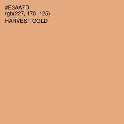 #E3AA7D - Harvest Gold Color Image