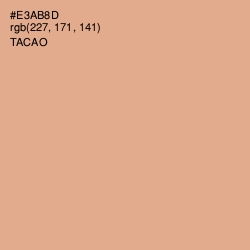#E3AB8D - Tacao Color Image