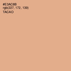 #E3AC8B - Tacao Color Image