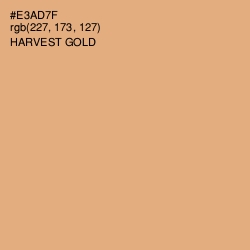 #E3AD7F - Harvest Gold Color Image
