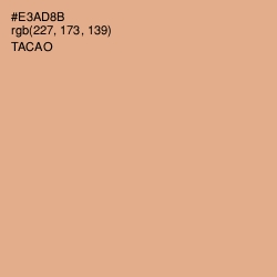 #E3AD8B - Tacao Color Image