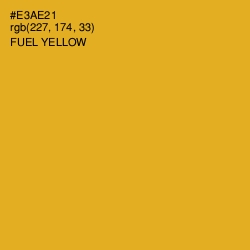 #E3AE21 - Fuel Yellow Color Image