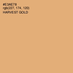 #E3AE78 - Harvest Gold Color Image