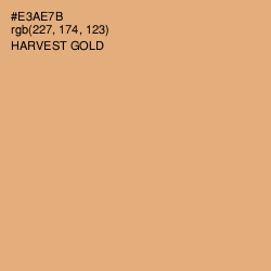 #E3AE7B - Harvest Gold Color Image