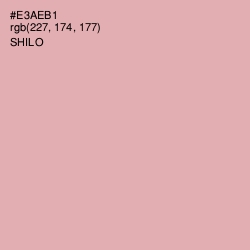 #E3AEB1 - Shilo Color Image