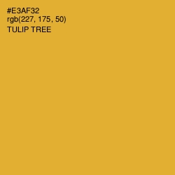 #E3AF32 - Tulip Tree Color Image