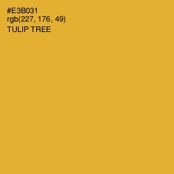 #E3B031 - Tulip Tree Color Image