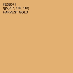 #E3B071 - Harvest Gold Color Image