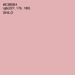 #E3B0B4 - Shilo Color Image