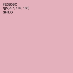 #E3B0BC - Shilo Color Image