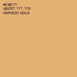 #E3B171 - Harvest Gold Color Image