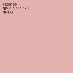 #E3B1B0 - Shilo Color Image