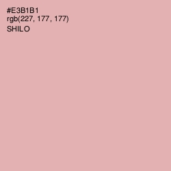 #E3B1B1 - Shilo Color Image