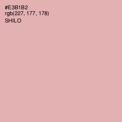 #E3B1B2 - Shilo Color Image