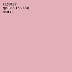 #E3B1B7 - Shilo Color Image