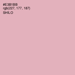 #E3B1BB - Shilo Color Image