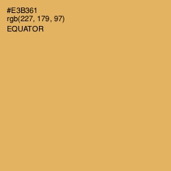 #E3B361 - Equator Color Image