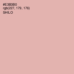 #E3B3B0 - Shilo Color Image