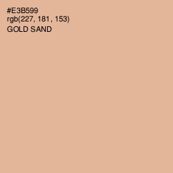 #E3B599 - Gold Sand Color Image