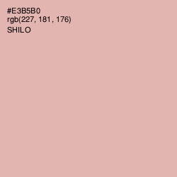 #E3B5B0 - Shilo Color Image