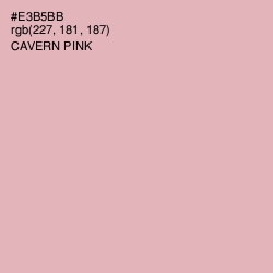 #E3B5BB - Cavern Pink Color Image