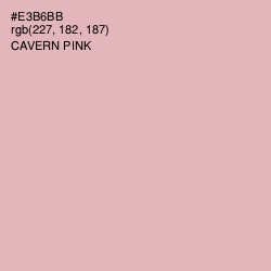 #E3B6BB - Cavern Pink Color Image
