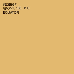 #E3B96F - Equator Color Image