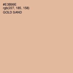 #E3B99E - Gold Sand Color Image