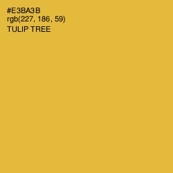 #E3BA3B - Tulip Tree Color Image