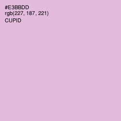 #E3BBDD - Cupid Color Image