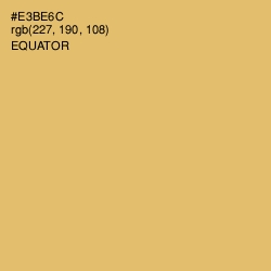 #E3BE6C - Equator Color Image