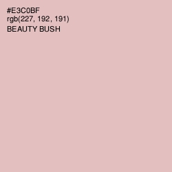 #E3C0BF - Beauty Bush Color Image