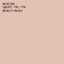 #E3C1B3 - Beauty Bush Color Image