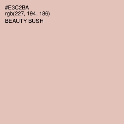 #E3C2BA - Beauty Bush Color Image