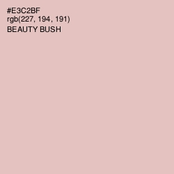 #E3C2BF - Beauty Bush Color Image