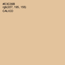 #E3C39B - Calico Color Image