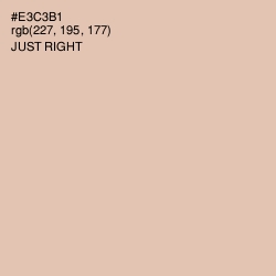 #E3C3B1 - Just Right Color Image
