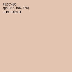 #E3C4B0 - Just Right Color Image