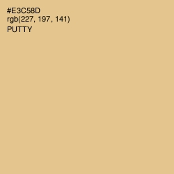 #E3C58D - Putty Color Image