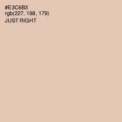 #E3C6B3 - Just Right Color Image