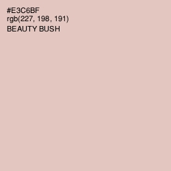 #E3C6BF - Beauty Bush Color Image