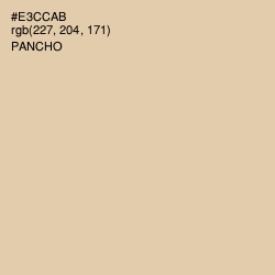 #E3CCAB - Pancho Color Image