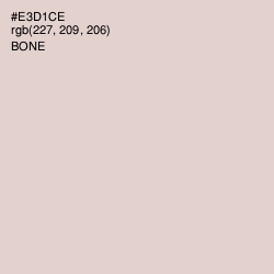 #E3D1CE - Bone Color Image