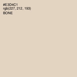 #E3D4C1 - Bone Color Image
