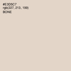 #E3D5C7 - Bone Color Image