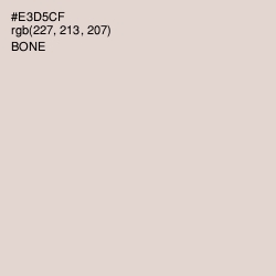 #E3D5CF - Bone Color Image