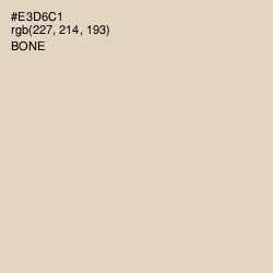 #E3D6C1 - Bone Color Image