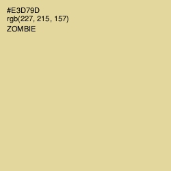 #E3D79D - Zombie Color Image